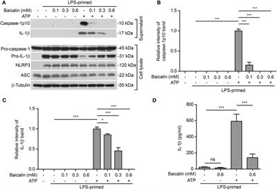 <mark class="highlighted">Baicalin</mark> Inhibits NOD-Like Receptor Family, Pyrin Containing Domain 3 Inflammasome Activation in Murine Macrophages by Augmenting Protein Kinase A Signaling